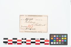 Etikett zu Bronzebrillenfibel (NHMW-PRAE-026190)